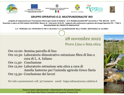 Si parte con la Filiera Agro-Tessile Di Calabria –  G.O. Multifunzionalità Bio (TEX. BIO.CAL.–G.O)
